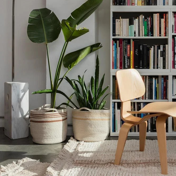 Aufbewahrungskorb Twin Toffee #2