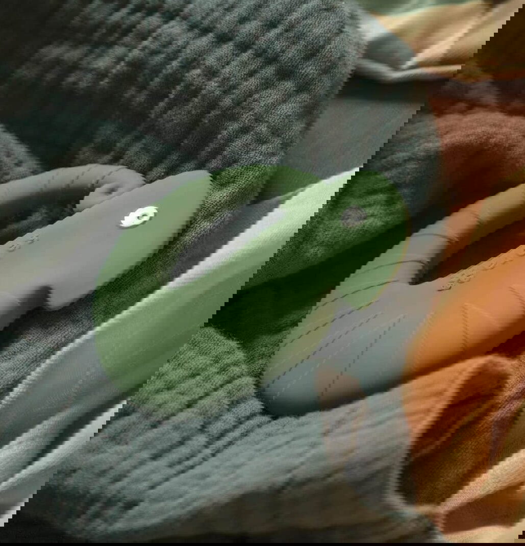 Beissring Chamäleon Carley #2