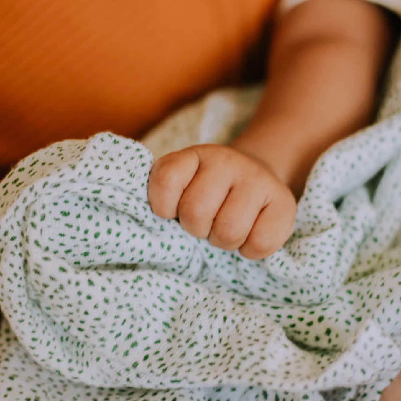 Pucktuch Green Seed 3