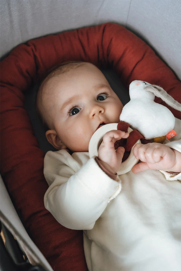 Beissring Hase mit Rassel 2