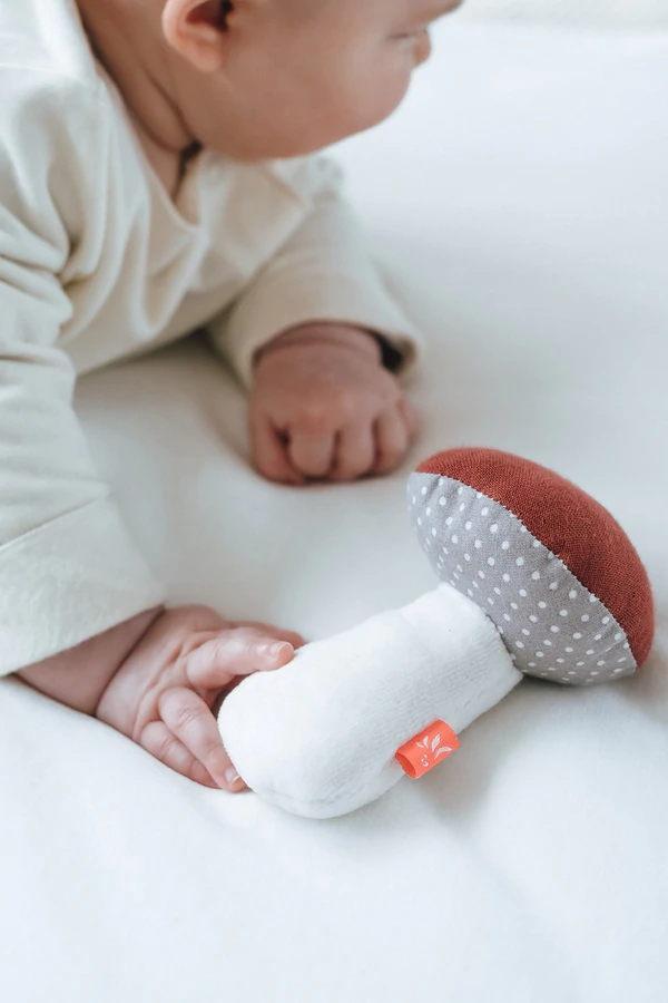 Quietscher Pilz Punkte #2