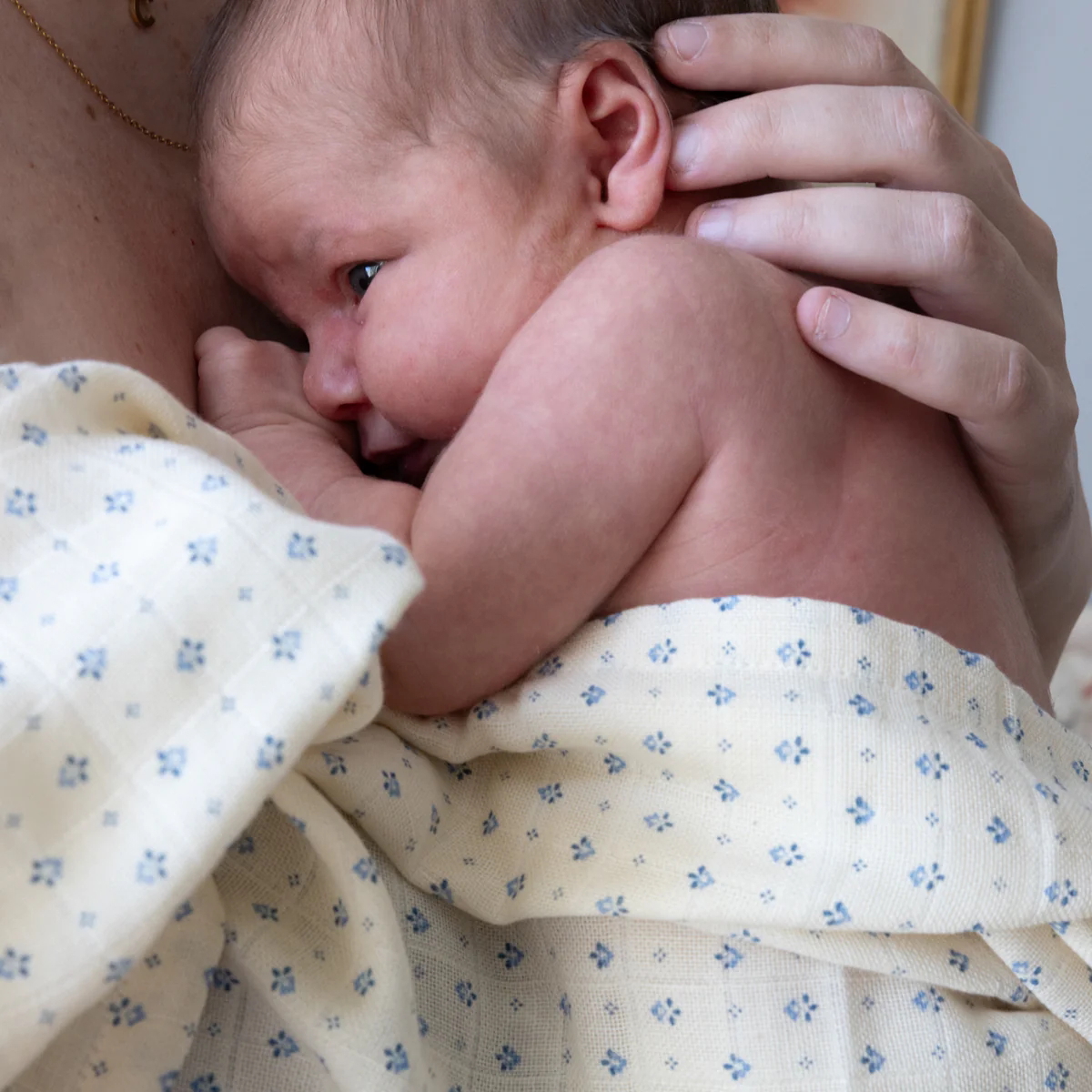 Spucktücher Capri 2er Set 3