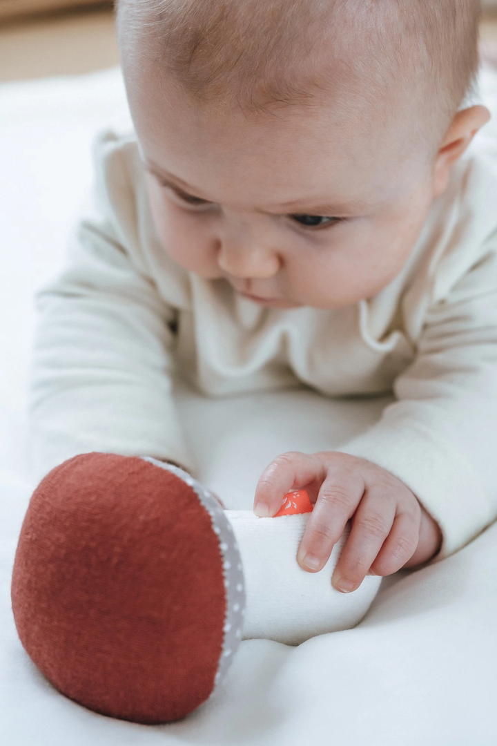 Quietscher Pilz Punkte 5