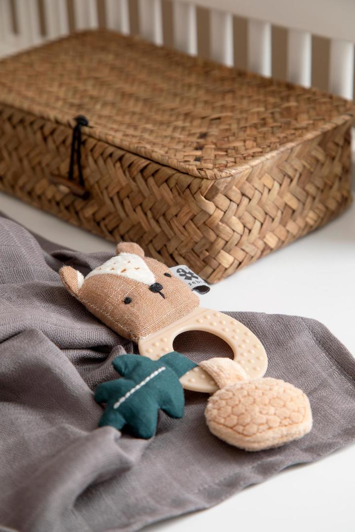 Aktivitätsrassel Milo Bär #2