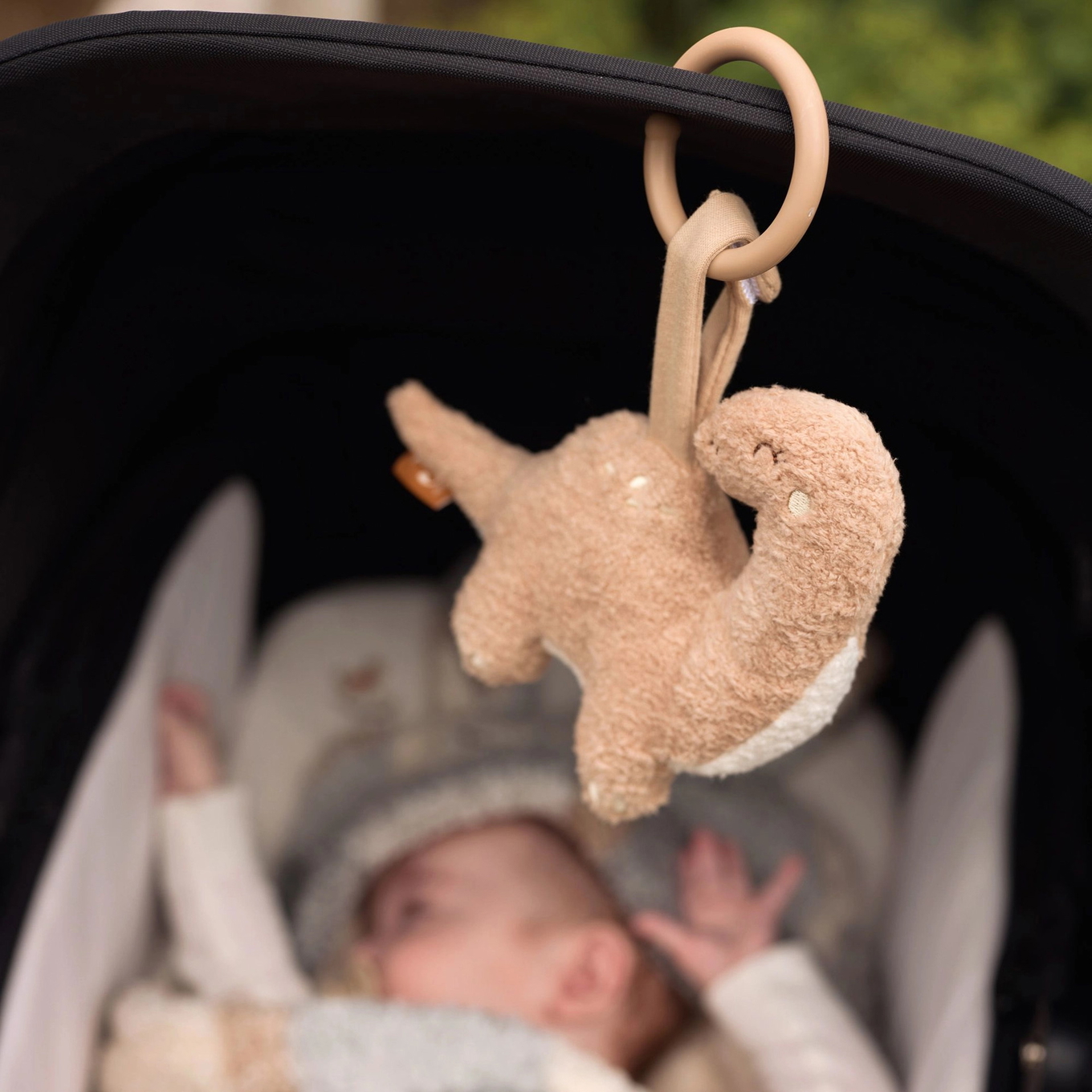 Kinderwagen-Anhänger Dino 6