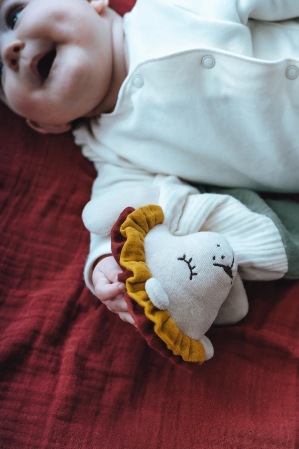 Schmusetuch Löwe Junge 4