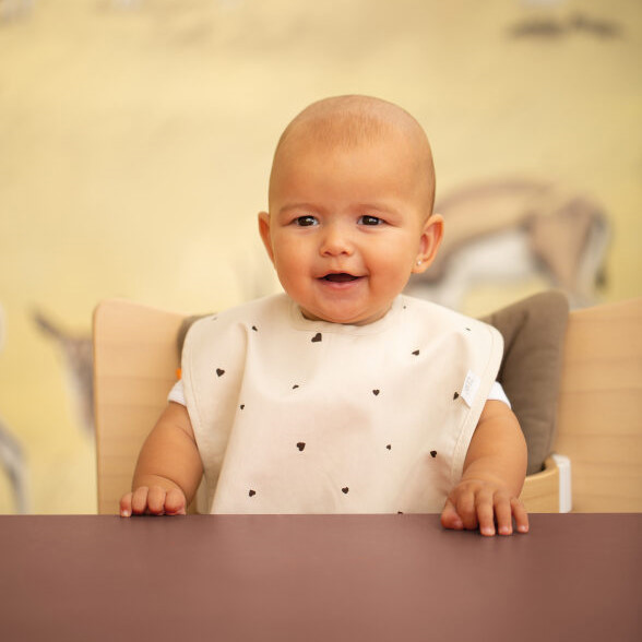 Lätzchen Plastifiziert Classic Hearts #2