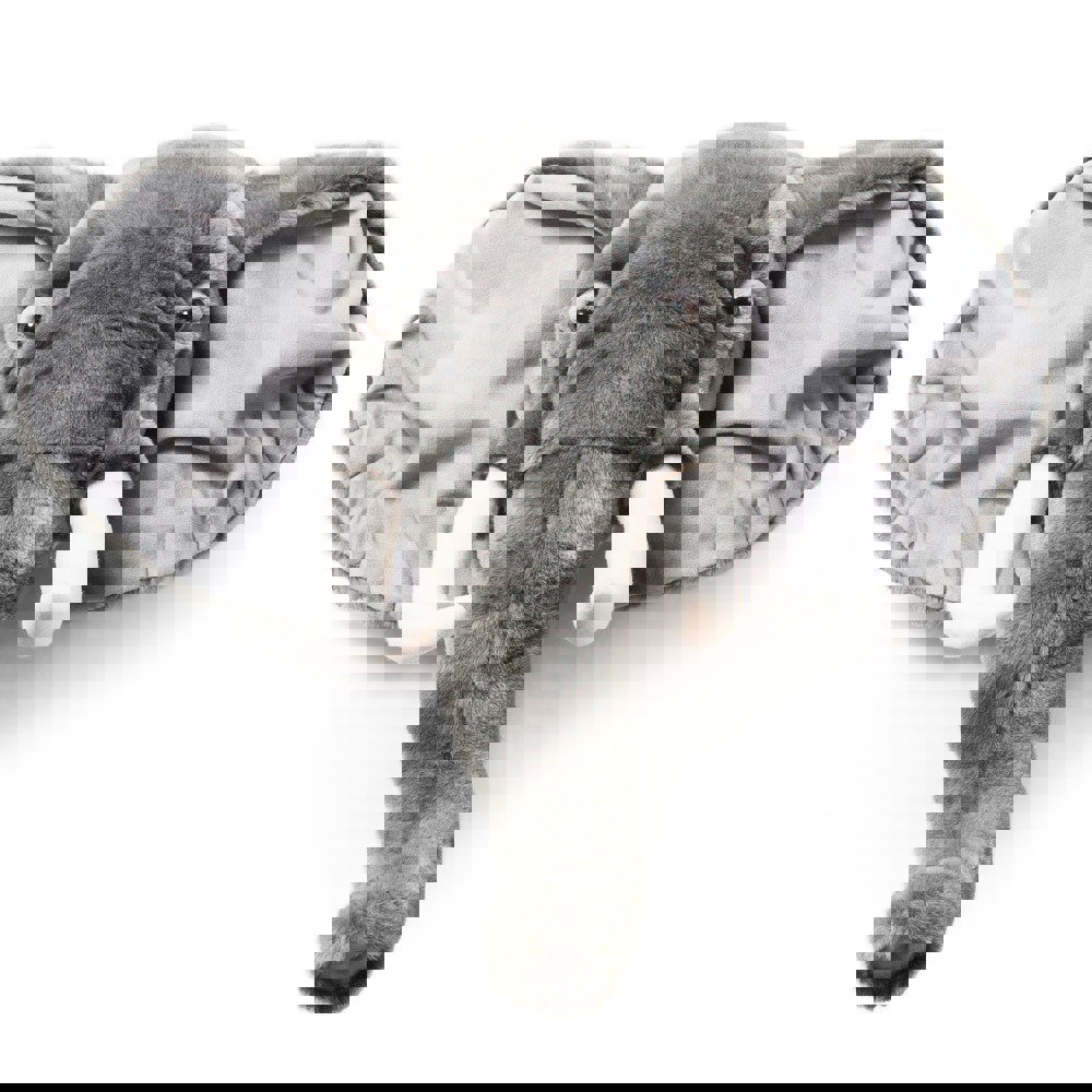 Tierkopf Elefant George