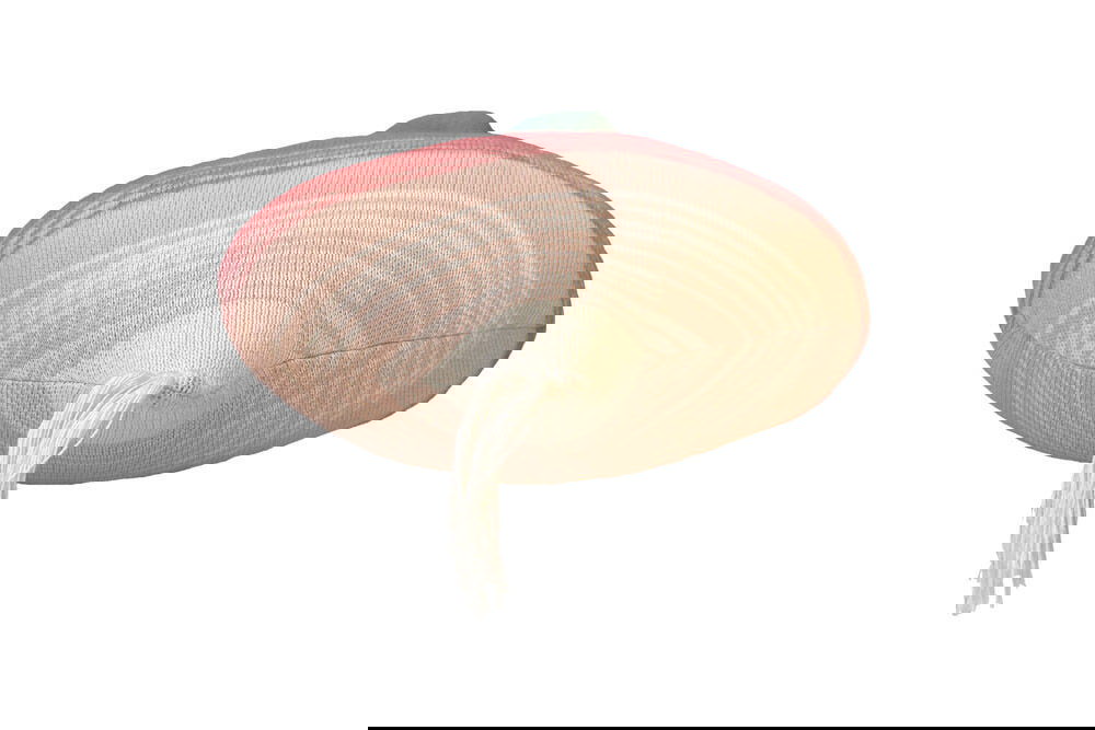 Dekokissen Ramona der Rettich 5