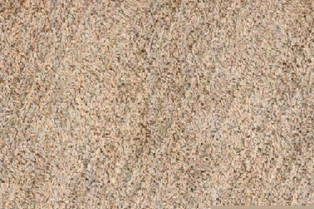 Wendeteppich Duetto Sage, Runner 6