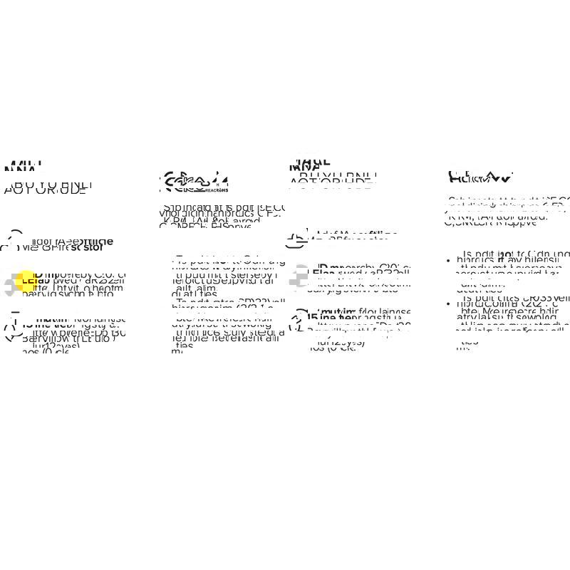 Bundle Of Light Mr Maria Miffy 8