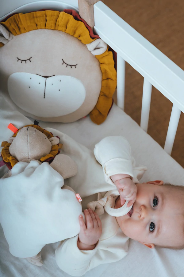 Aktivitätsspielzeug Löwe 7