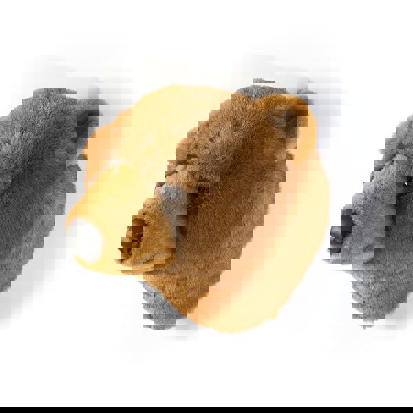 Tierkopf Grizzlybär Oliver 3