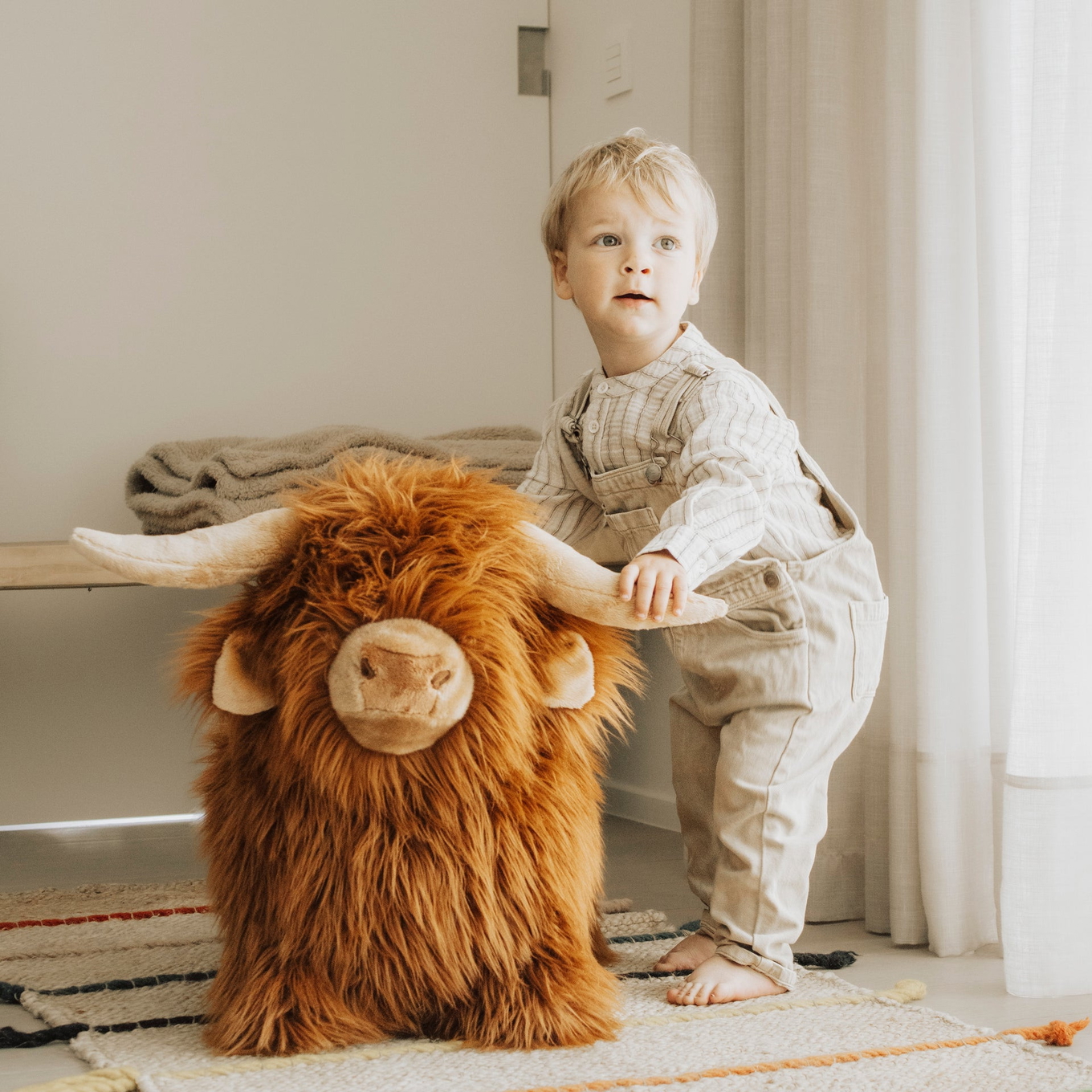 Hüpftier Highland Cow 4