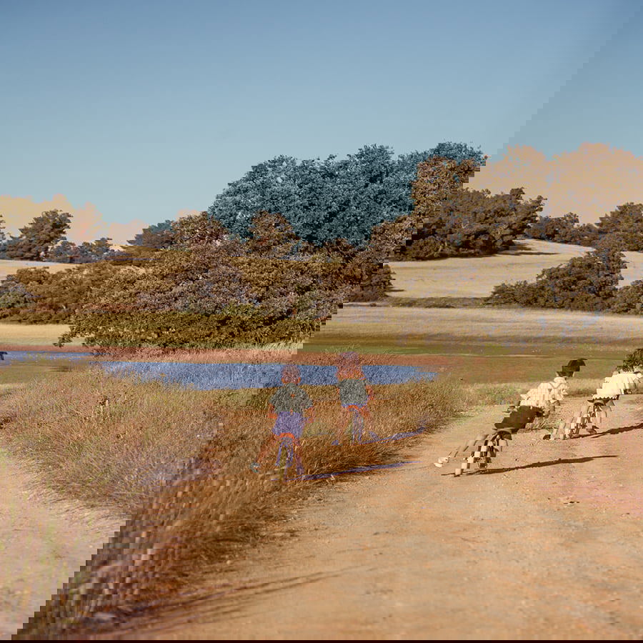 Laufrad First GO! Creme 9