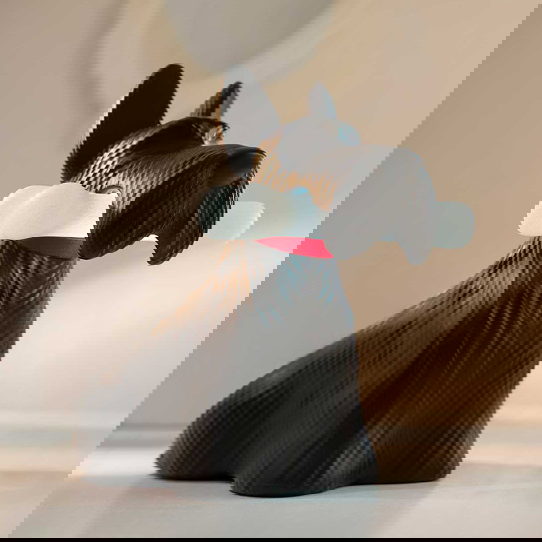 Lampe Scottie Black #2