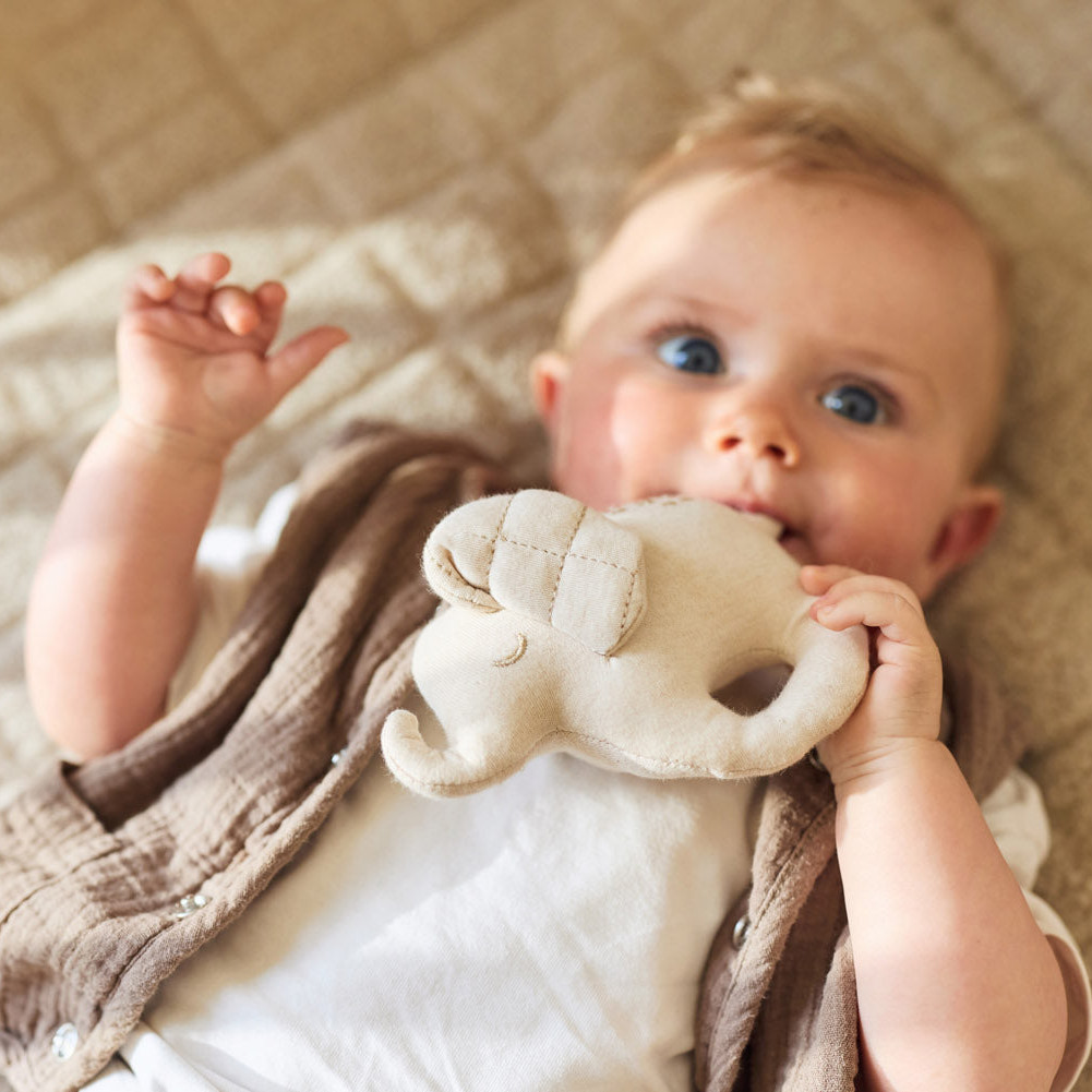 Rassel Elephant Tales #2