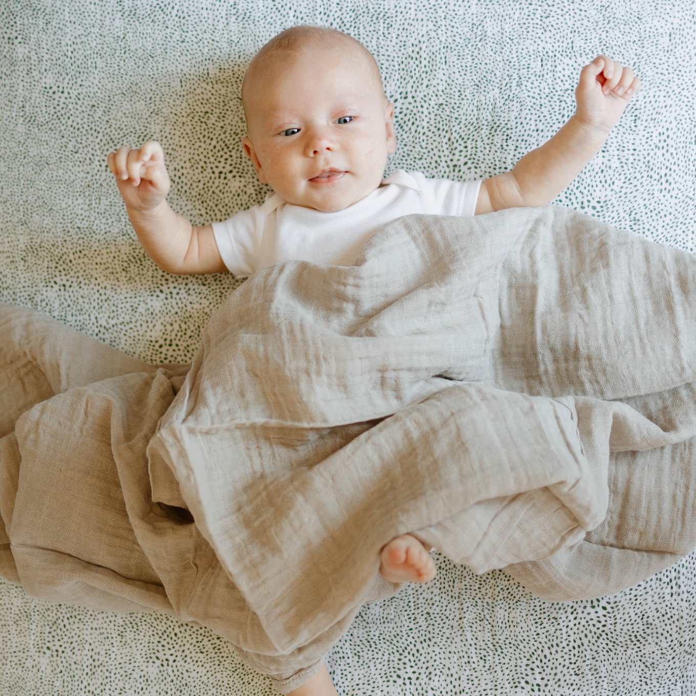 Pucktuch Porpoise #2