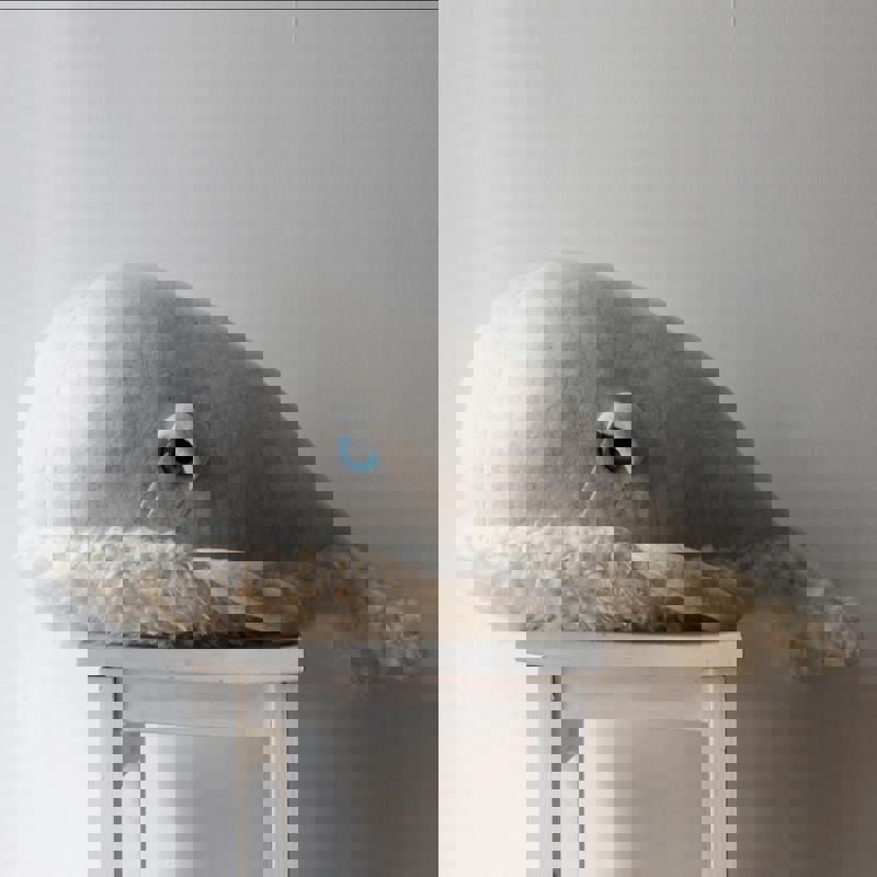 Albino Bubble Wal Gross #2