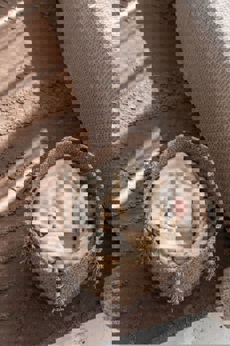 Aufbewahrungskorb Woody Braun 3