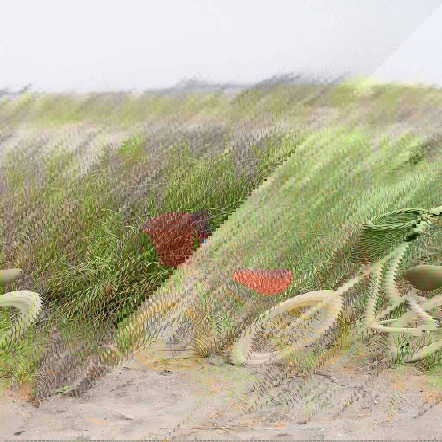 Laufrad First GO! Creme 4