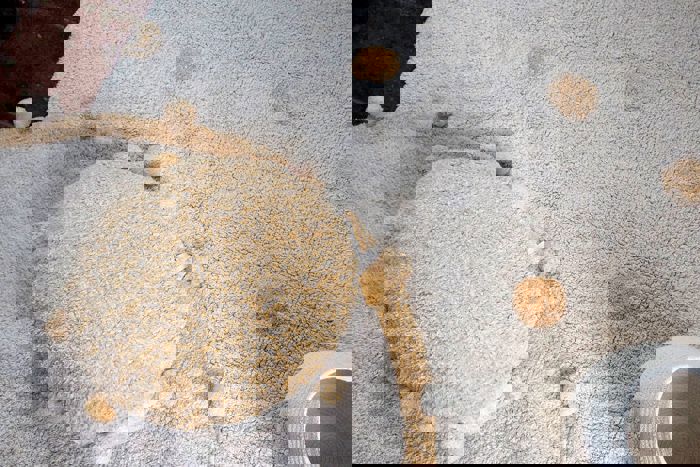 Dekokissen Bubbly Honey #2