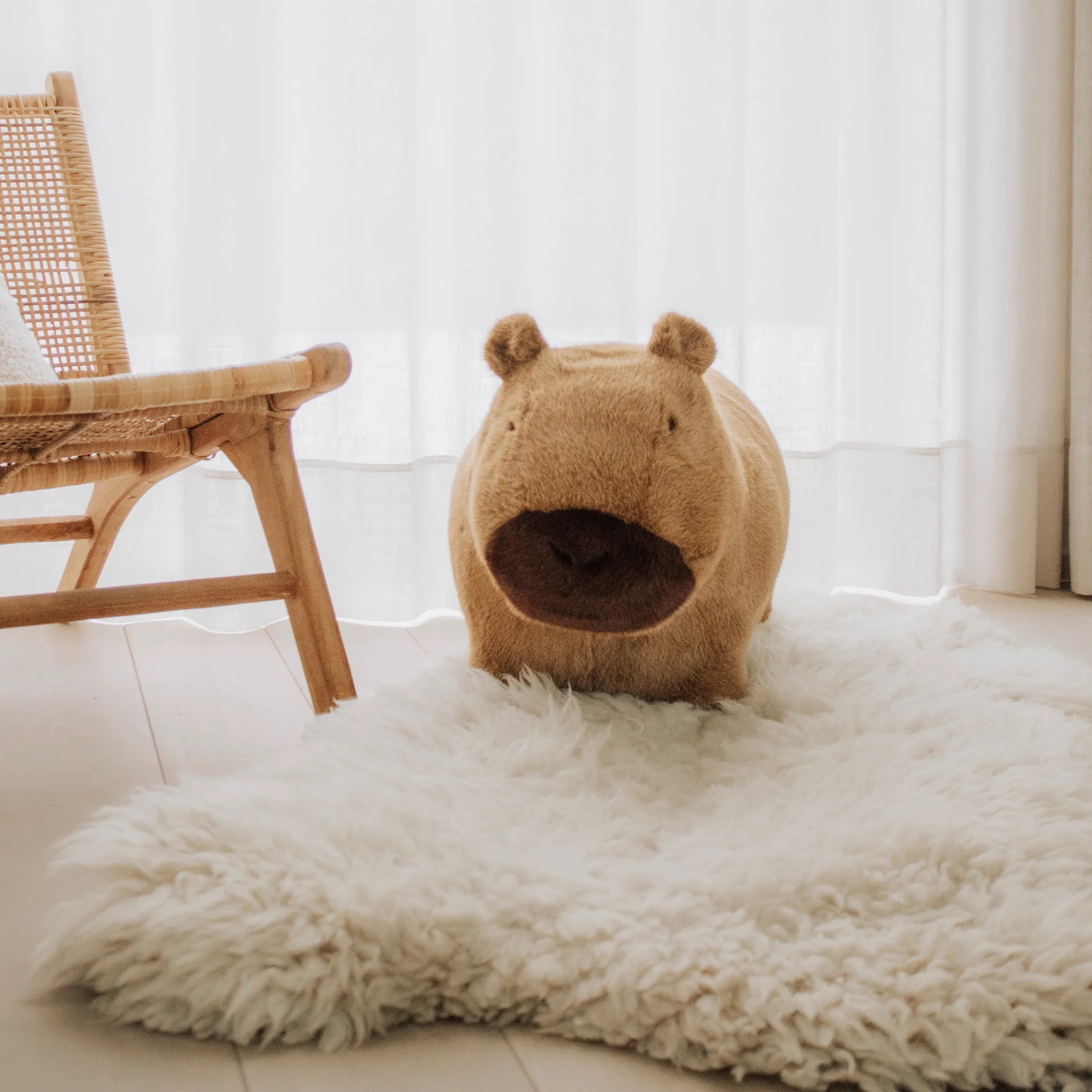 Hüpftier Capybara 6