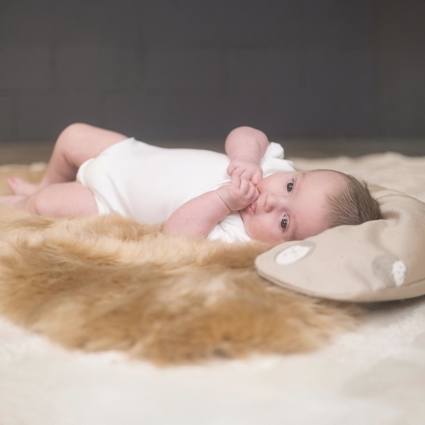 Lammfell ungeschoren camel 4