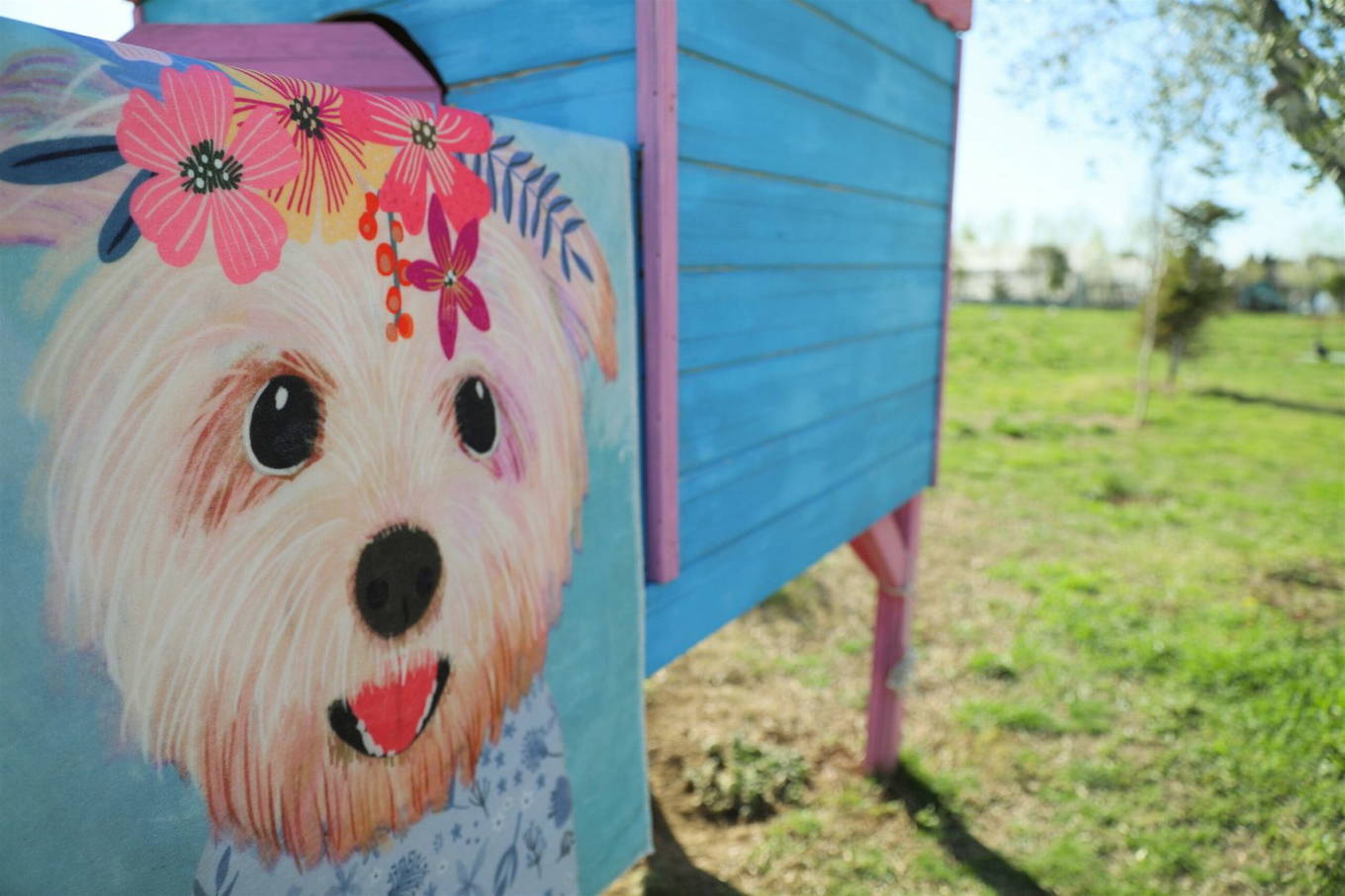 Teppich Blooming Puppy 4