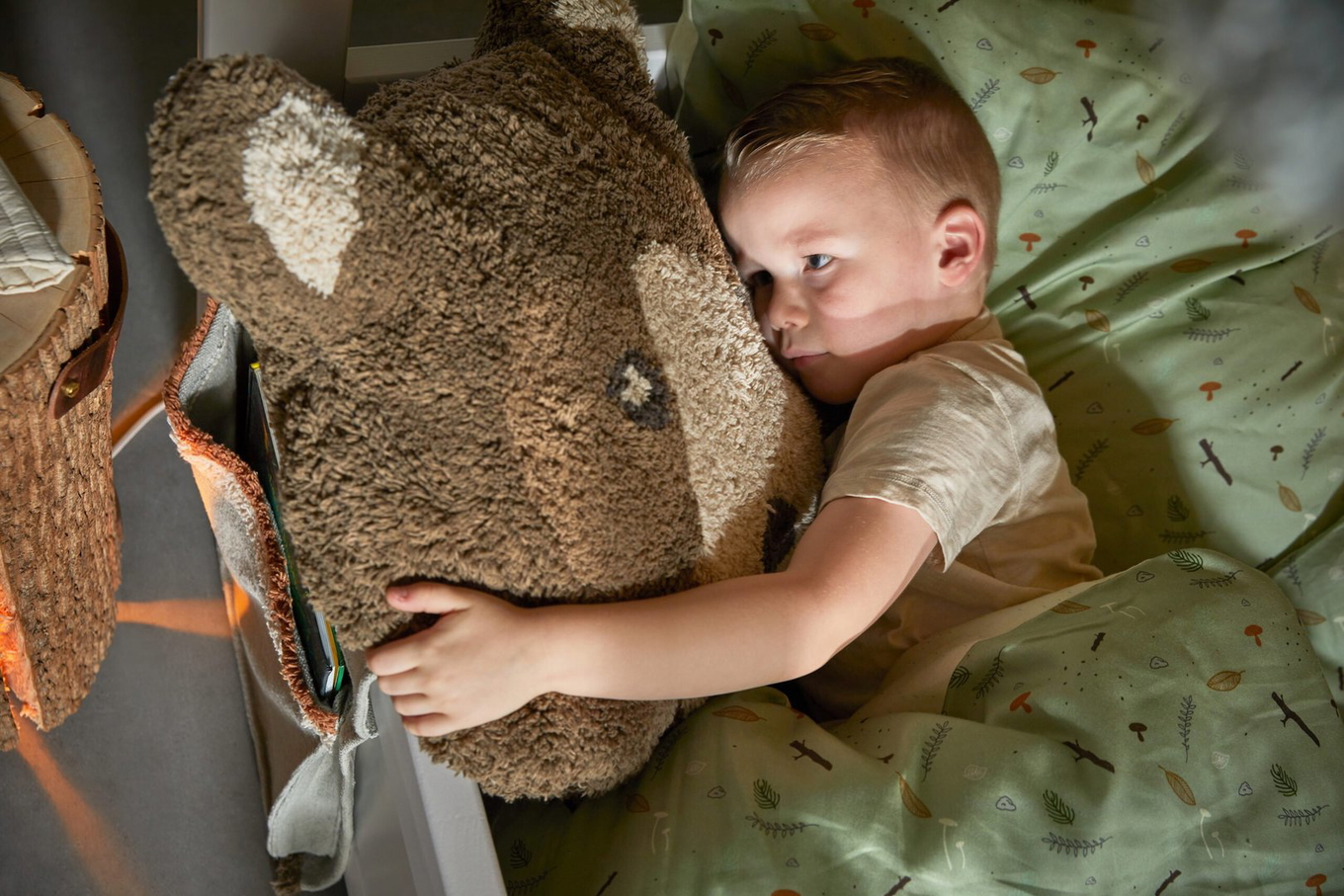 Dekokissen Canoe Adventure Bär #2