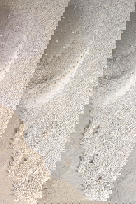 Teppich Pine Cone  Ivory 3