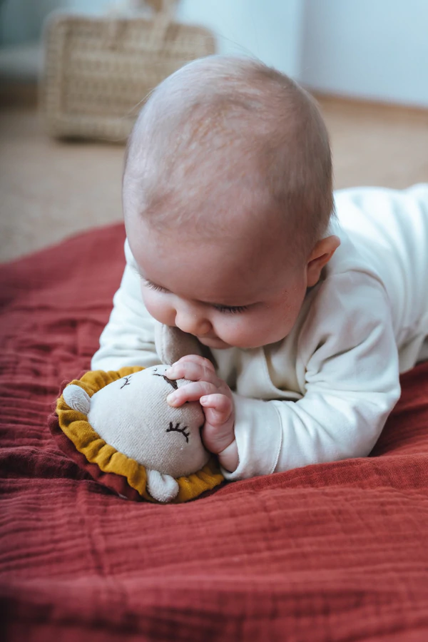 Schmusetuch Löwe Junge 3