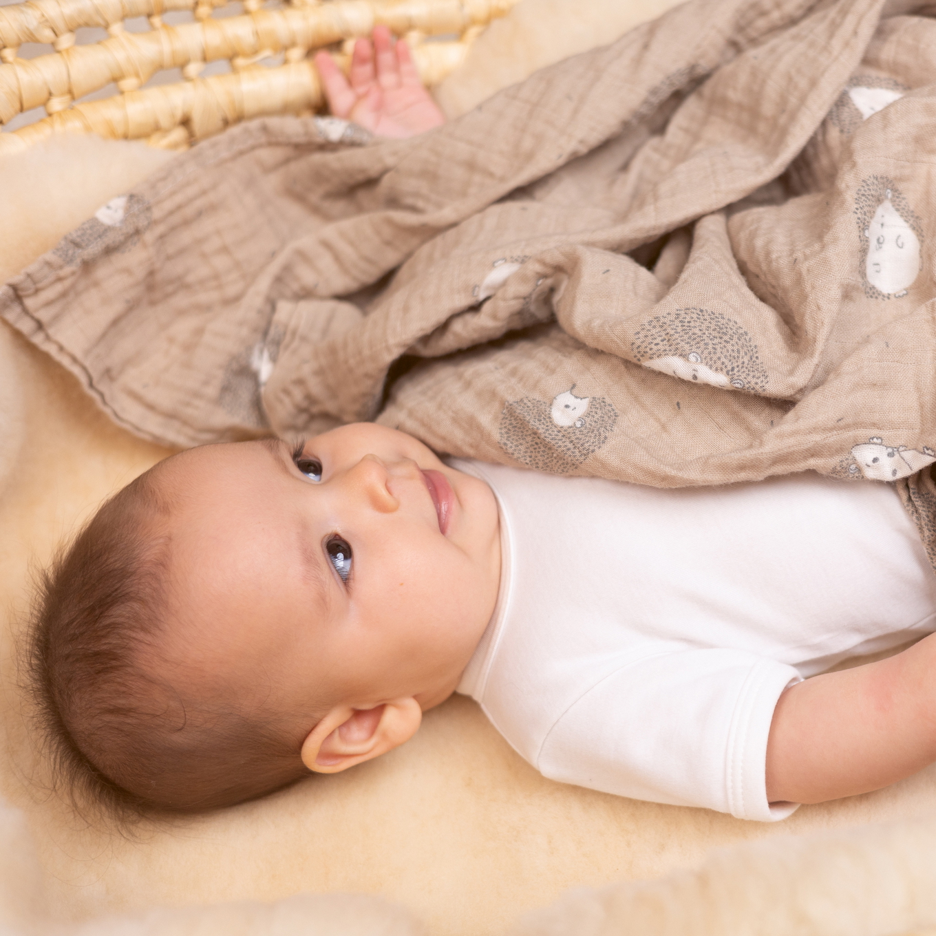 Pucktuch Gaze Little Henry #2