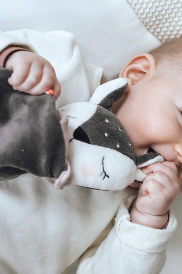 Beissring Rehkitz #2