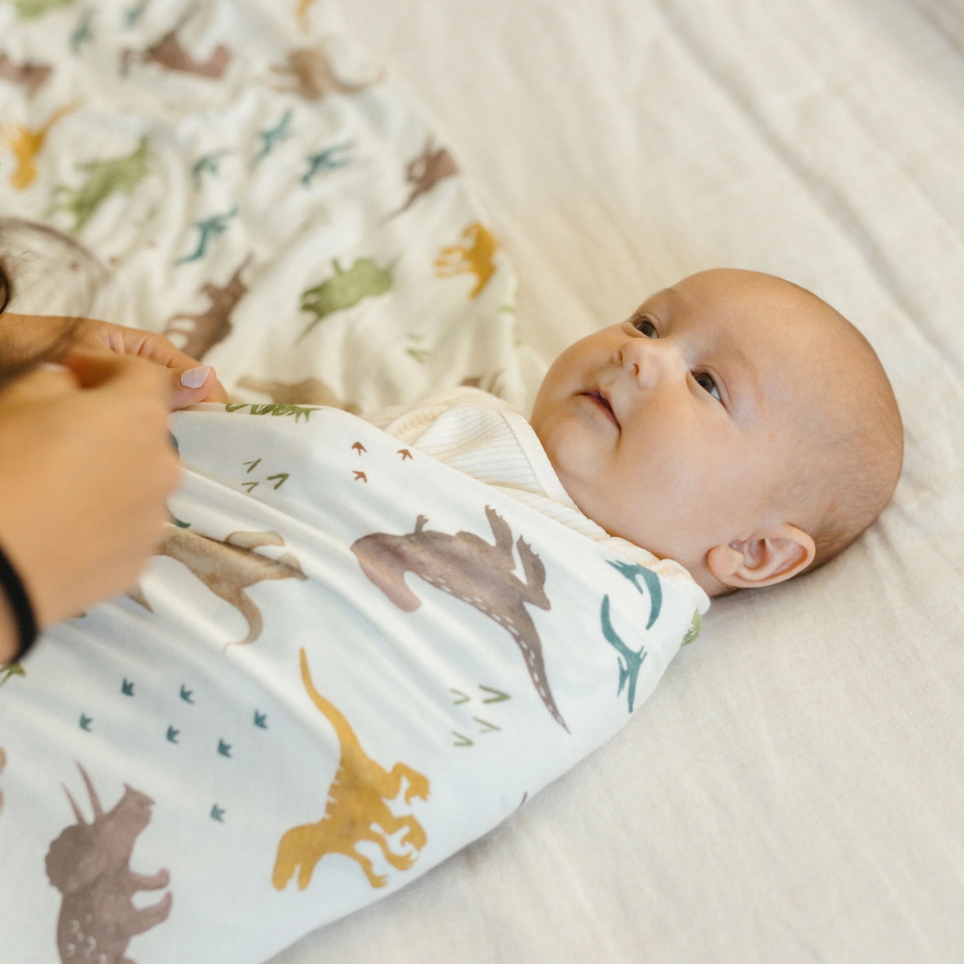 Pucktuch Dino Pals #2