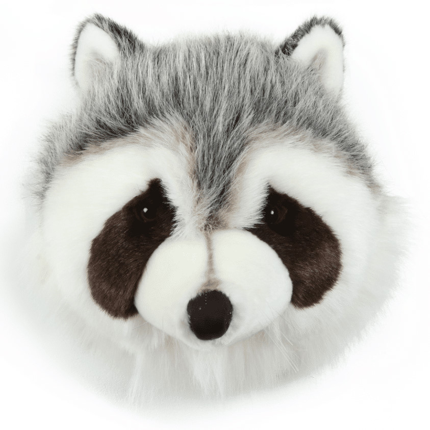 Tierkopf Waschbär Josh