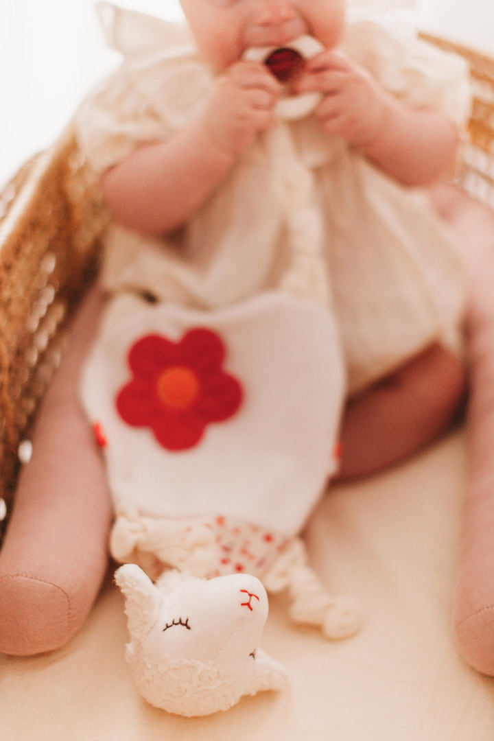 Aktivitätsspielzeug Lämmchen 3