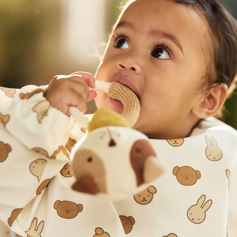 Beissring Dog Mick #2