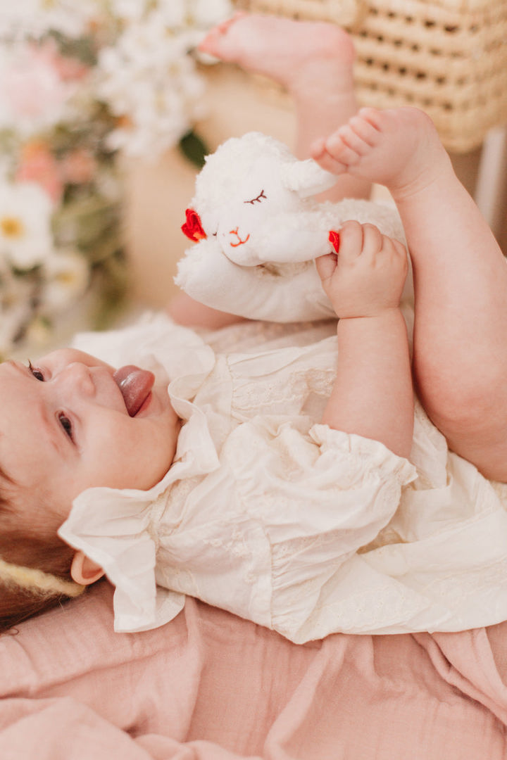 Spieluhr Lämmchen #2