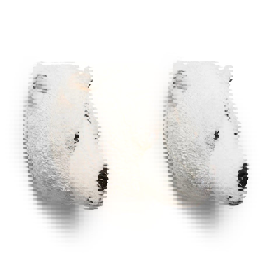 Tierkopf Eisbär Basile 3