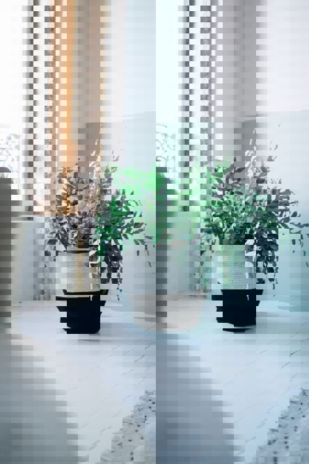 Korb Zoco Schwarz #2