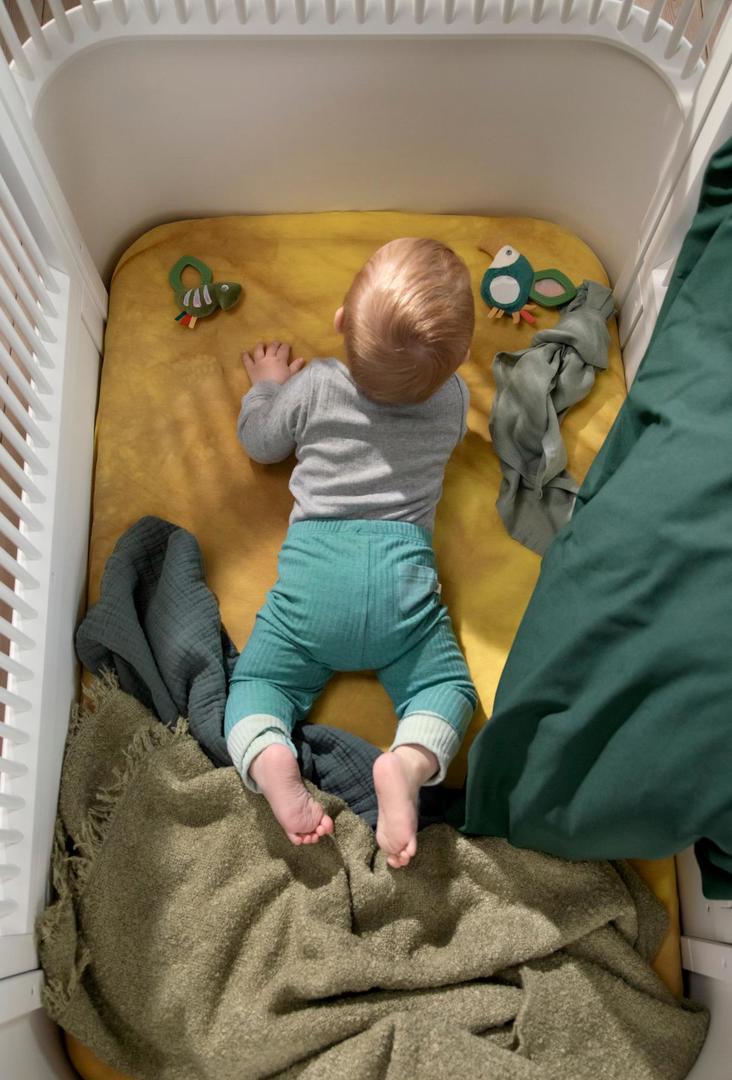 Aktivitätsrassel Tully der Tukan #2