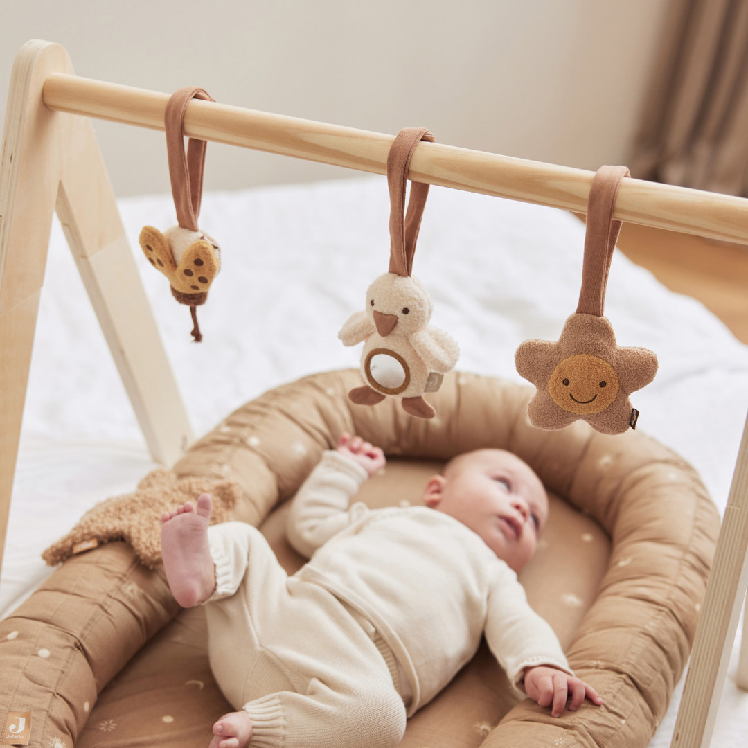 Spielbogen Spielzeug Spring Garden #2