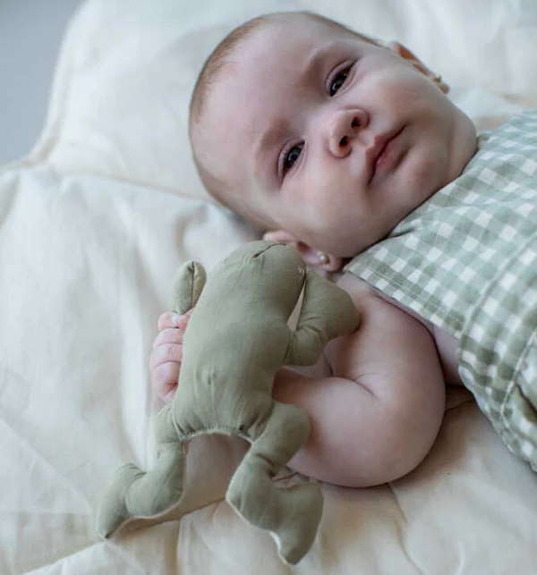 Rasseln Set Lily Pond #2