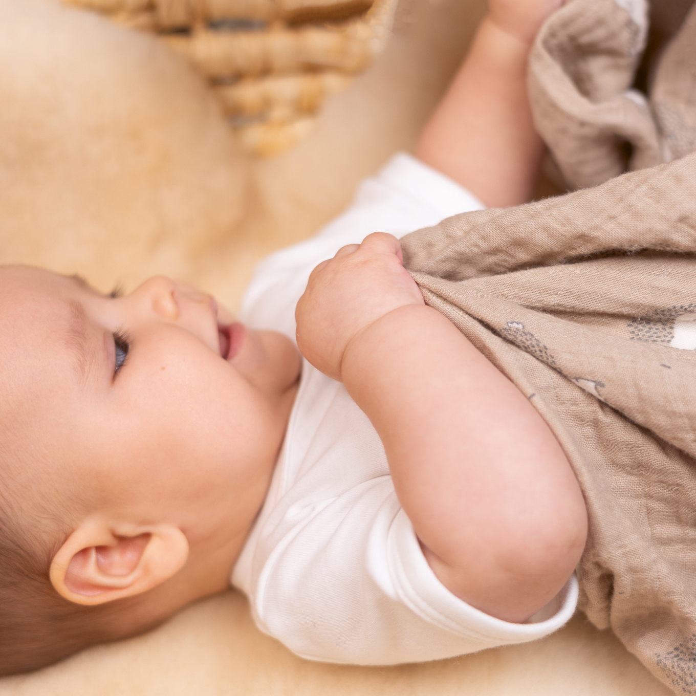 Pucktuch Gaze Little Henry 5