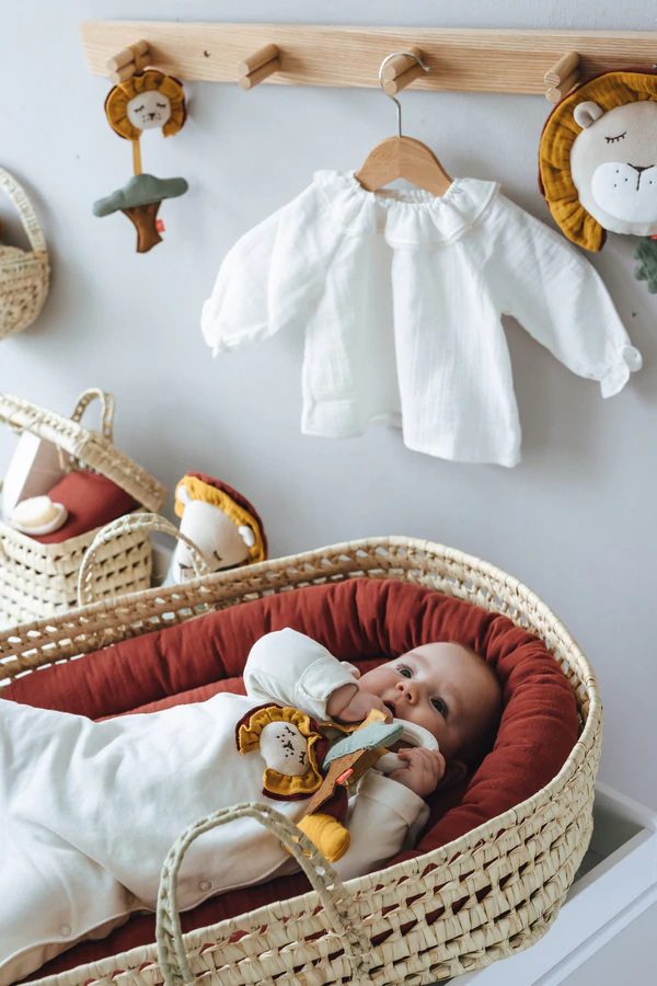 Beissring Löwe Sonnenuntergang 3