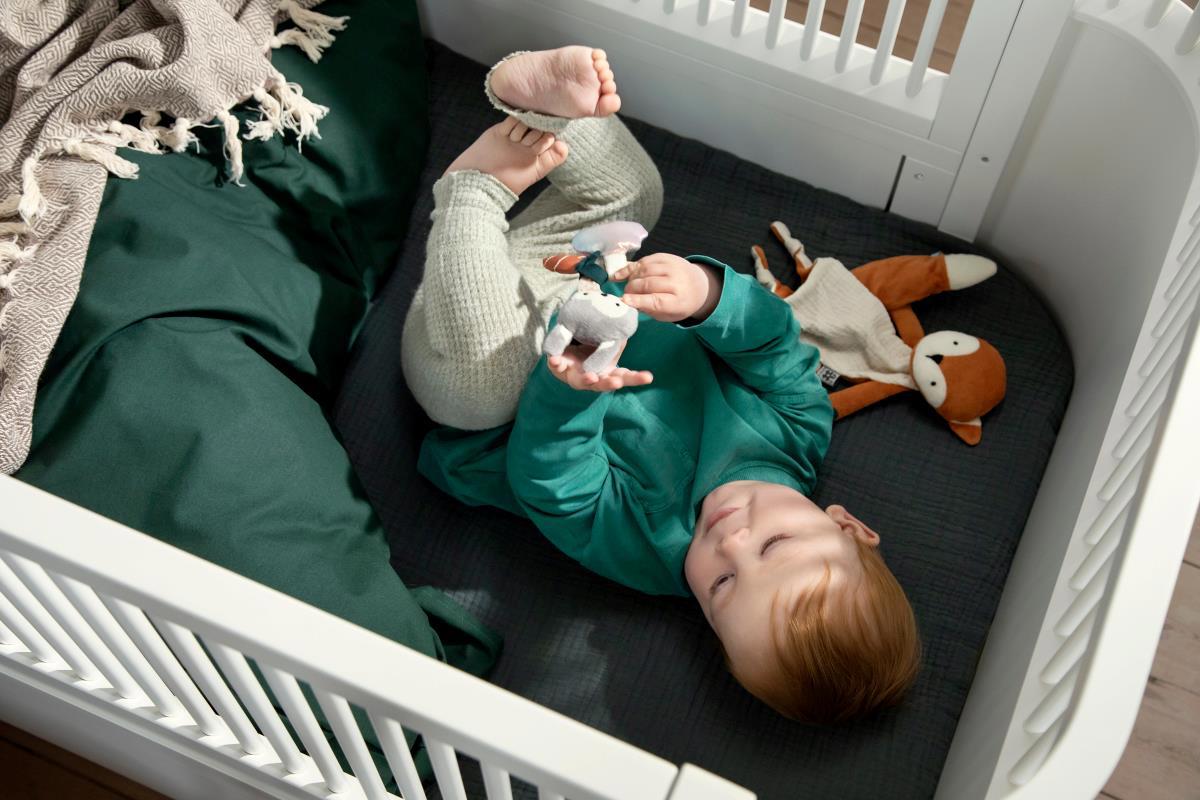 Aktivitätsrassel Siggy Kaninchen #2