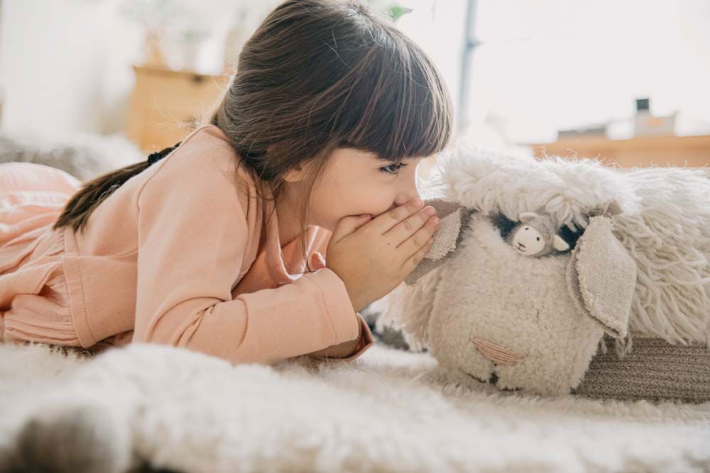 Korb Pink Nose Sheep 4