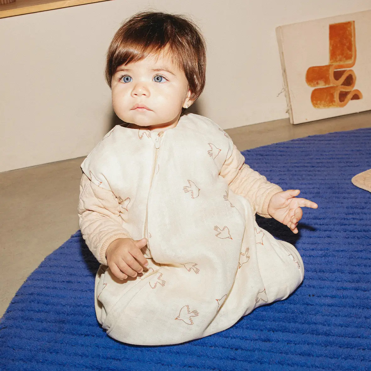 Schlafsack Sweety Light Brown Hoshi Birds, 0-6 Monate #2