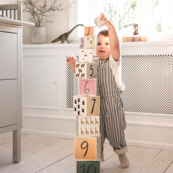 Stapelblöcke World of Sebra #2